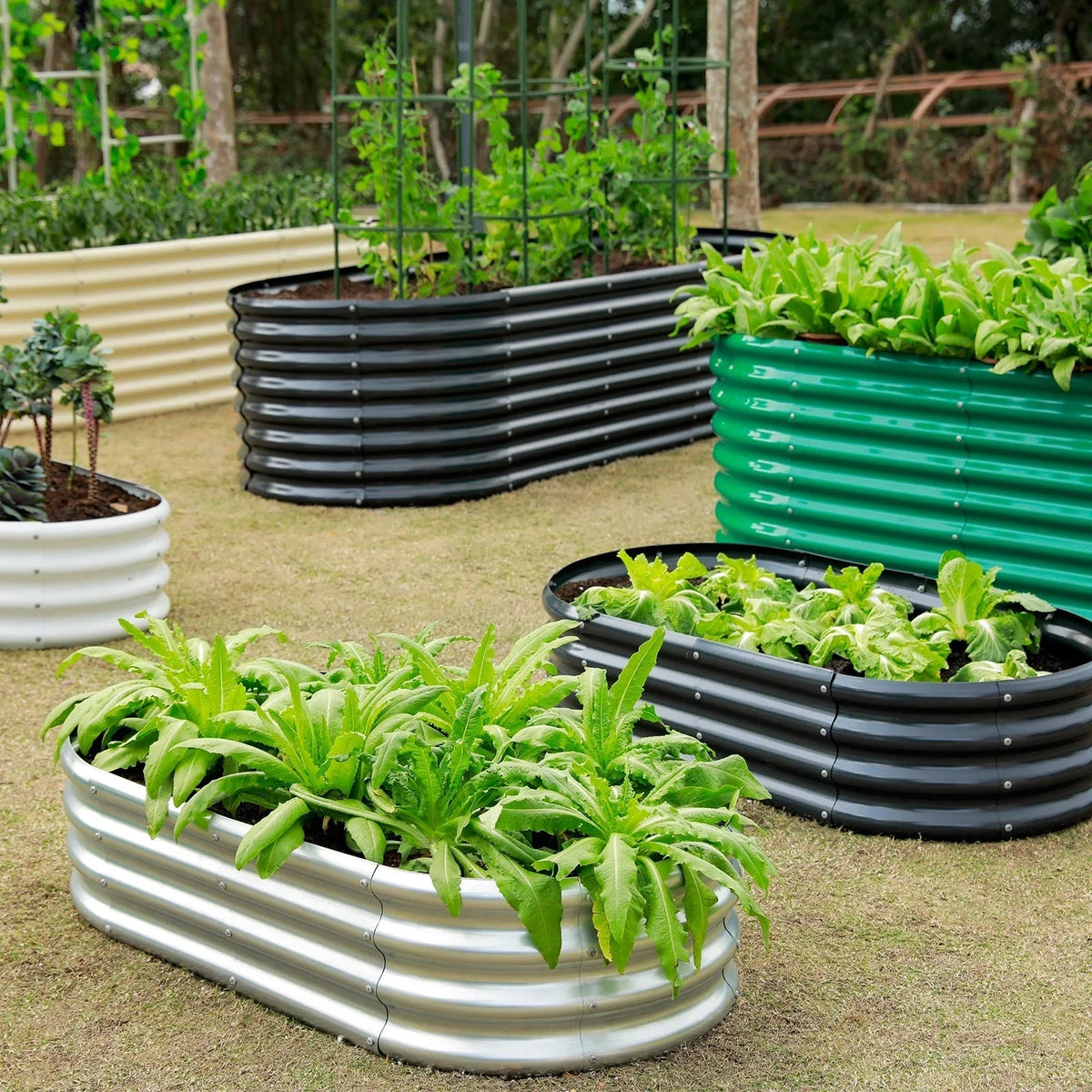 12-inch tall oval galvanized metal raised garden bed, 8 by 4 feet — view 8