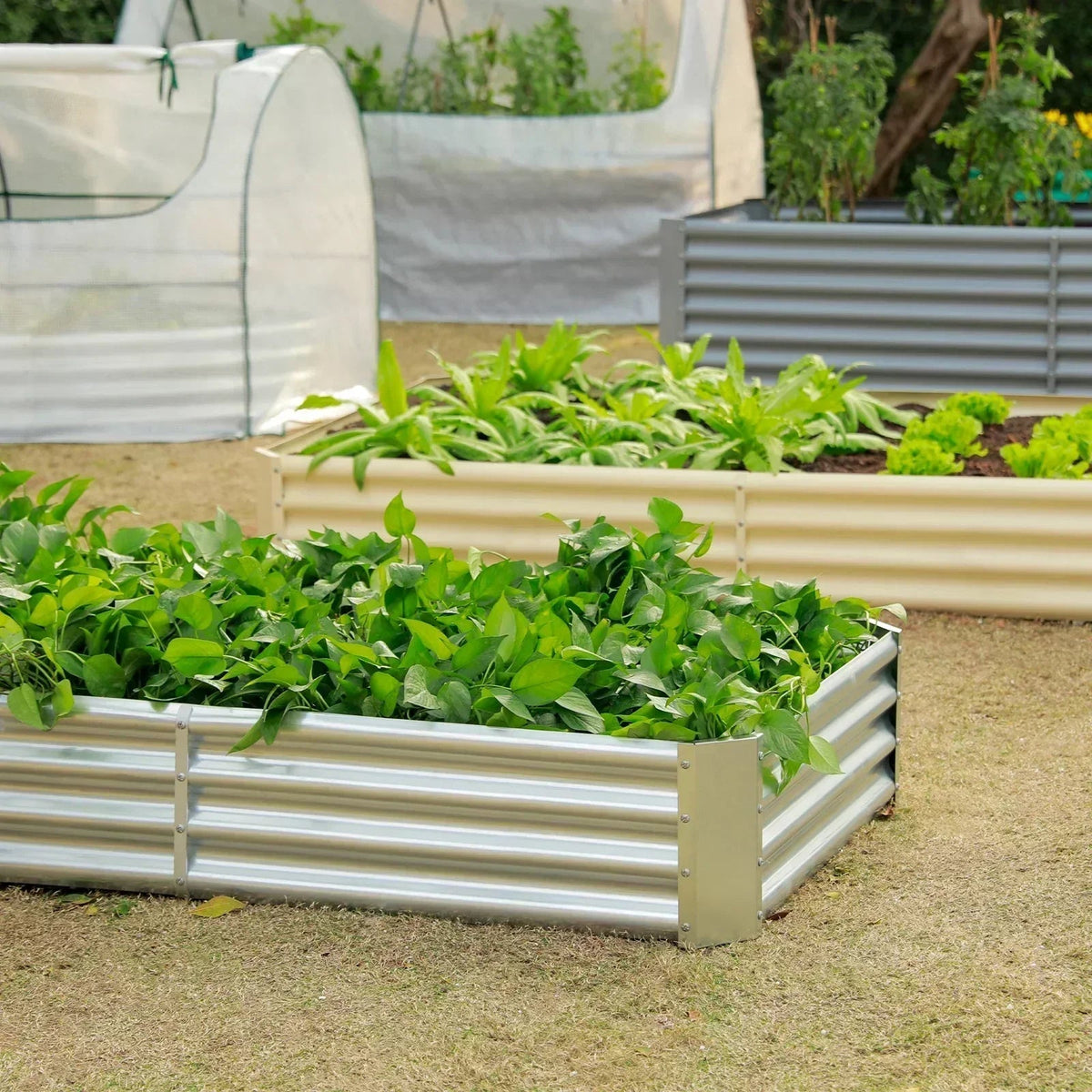 12-inch tall rectangular galvanized metal raised garden bed, 8 by 4 feet — view 9