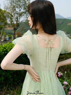 Elara's Summer Fairy Dress