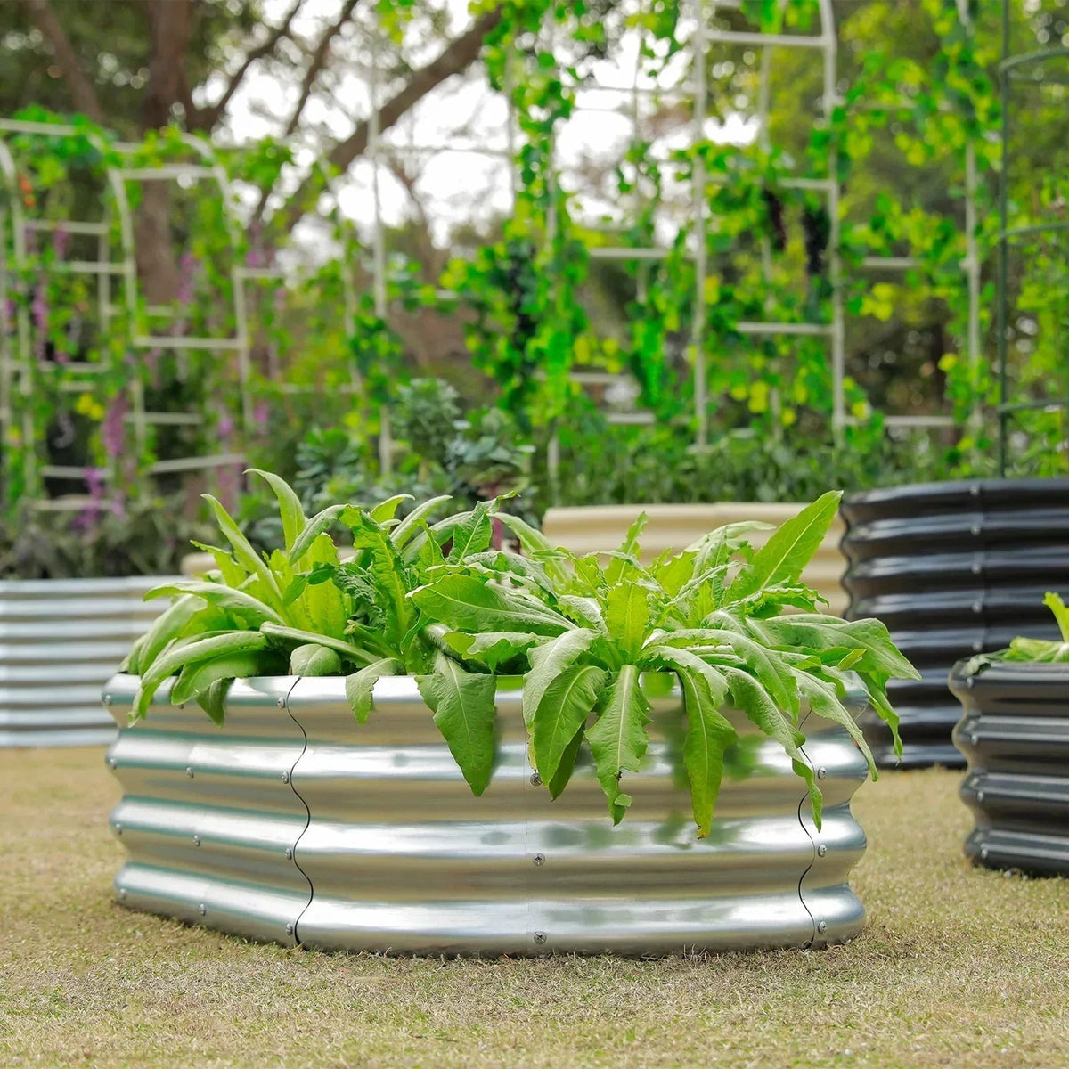 set of 10 — 12-inch tall oval galvanized metal raised garden bed, 8 by 4 feet — view 7