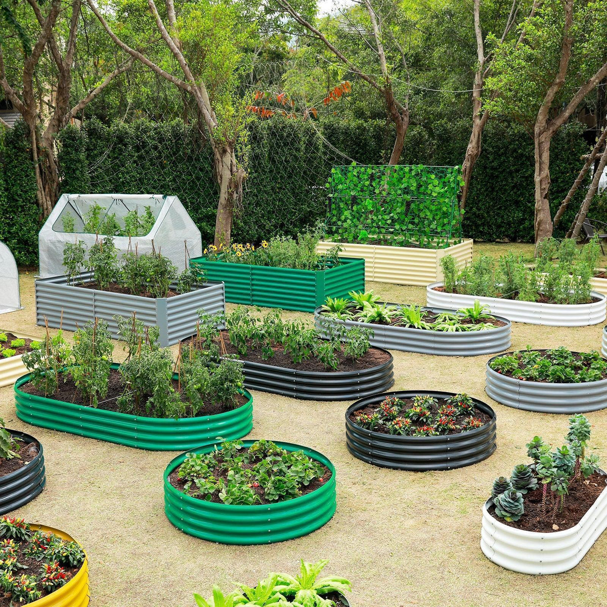 set of 4 — 12-inch tall round galvanized metal raised garden bed, 3 feet in diameter — view 2