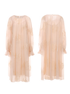 Blush Petal Embroidered Chiffon Dress