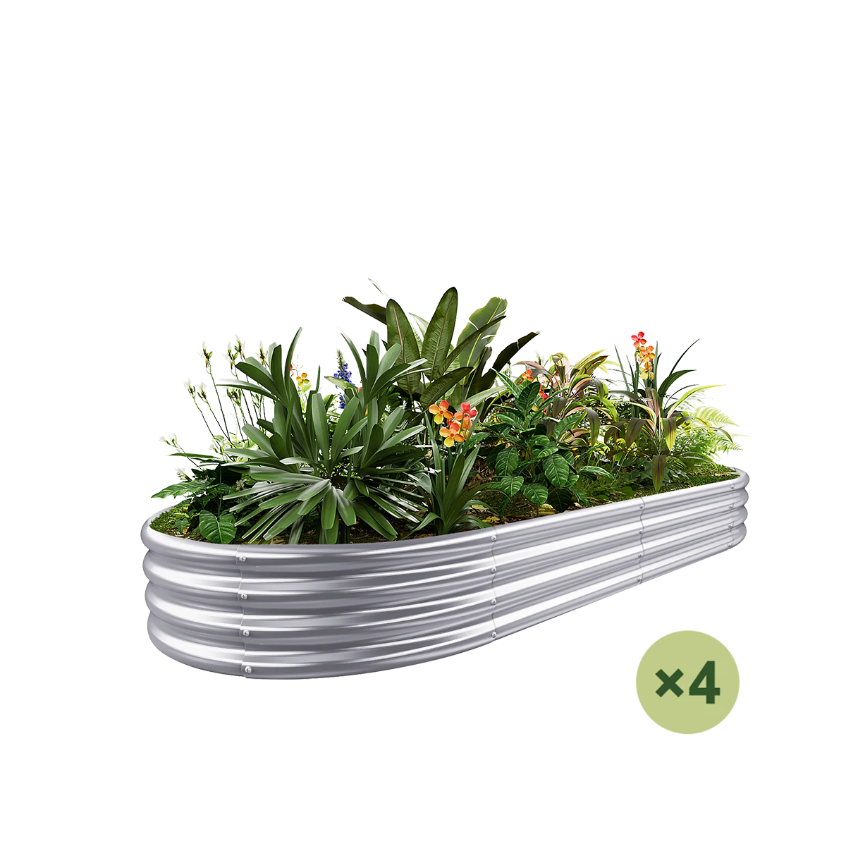 set of 4 — 12-inch tall oval galvanized metal raised garden bed, 8 by 4 feet