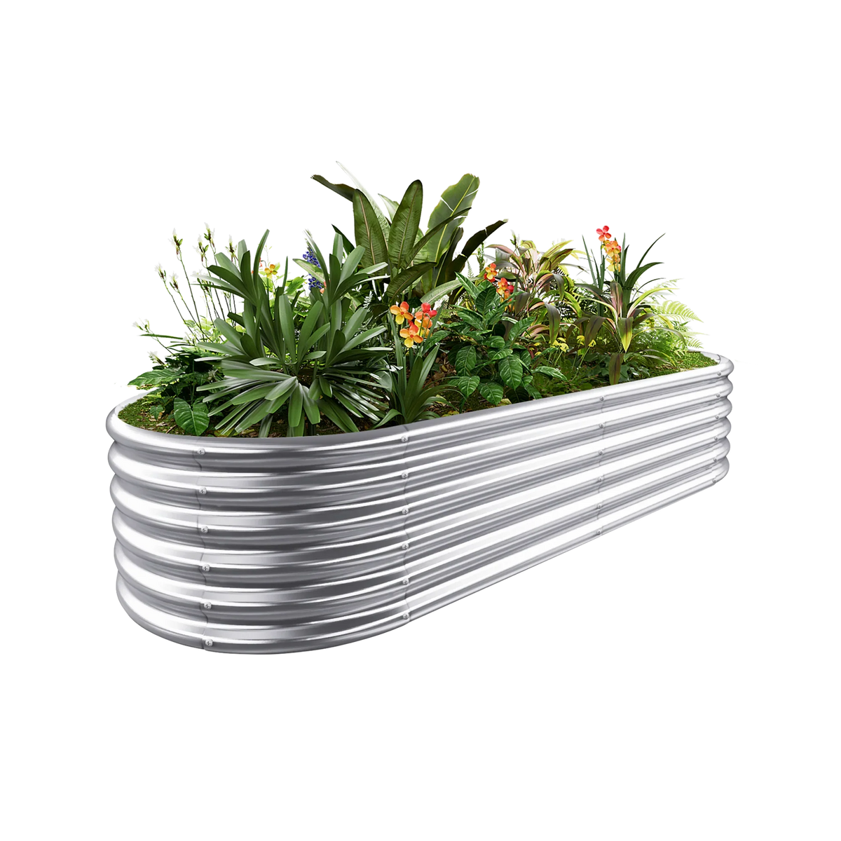 18-inch tall oval galvanized metal raised garden bed, 6 by 3 feet