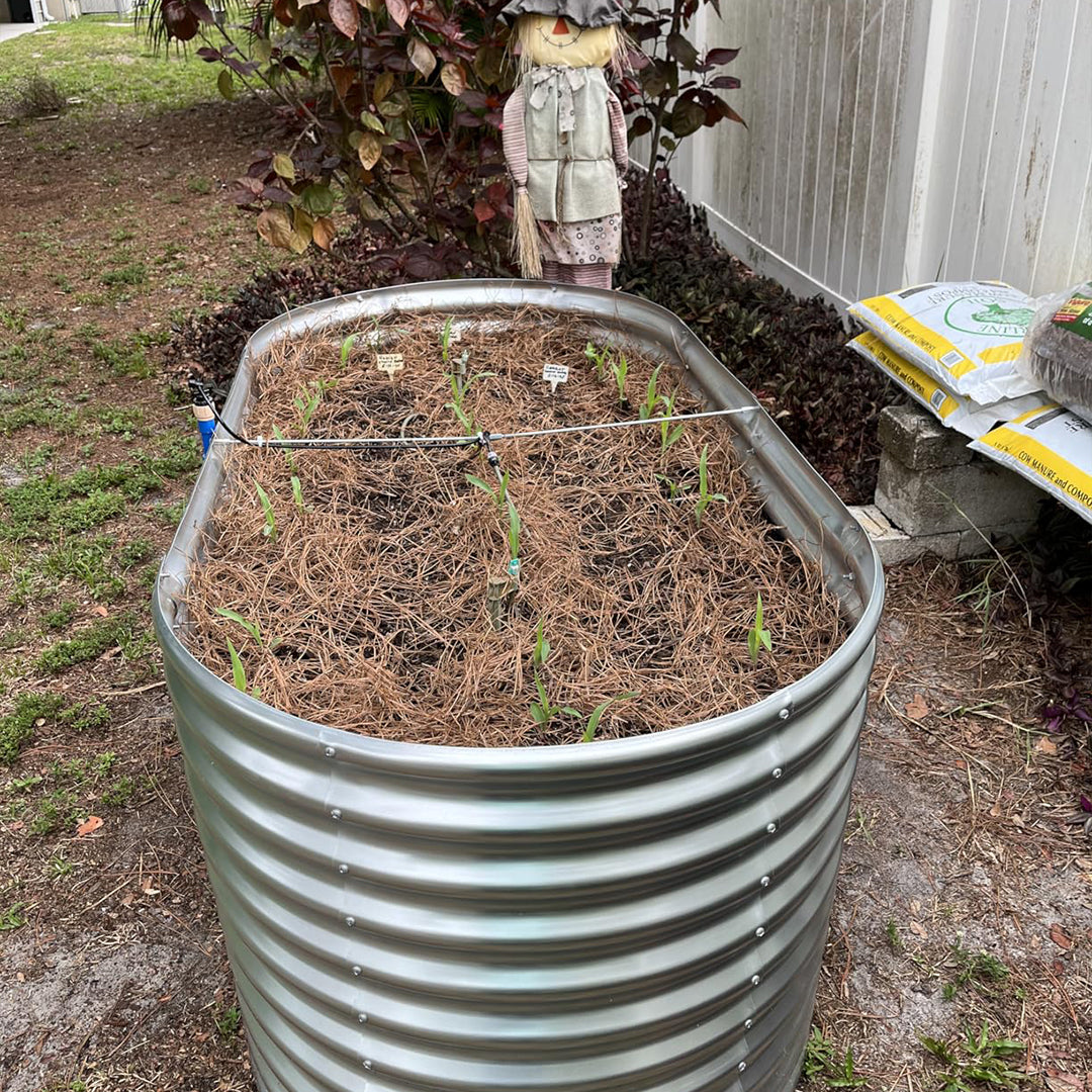 36-inch tall oval galvanized metal raised garden bed, 6 by 3 feet — view 7