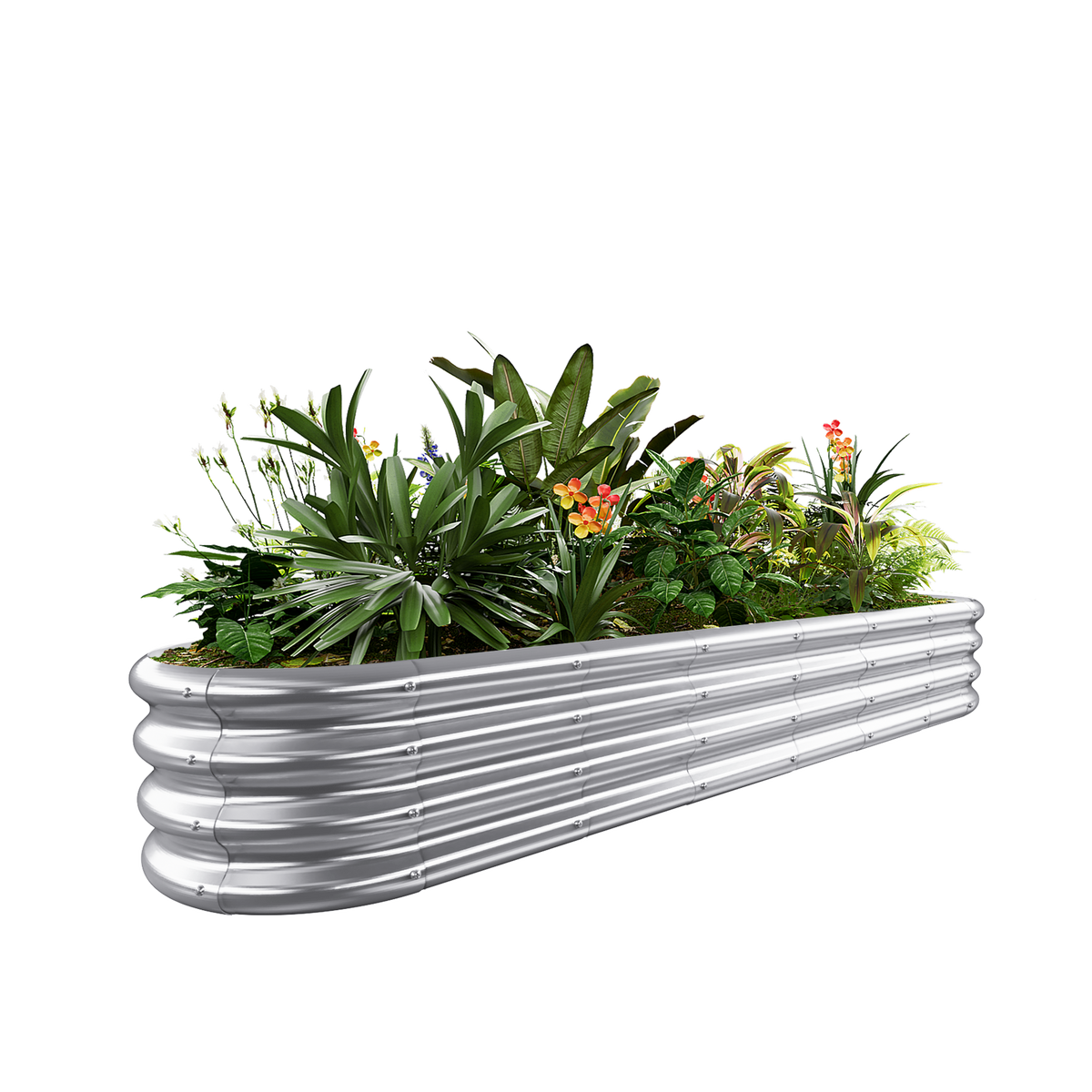 12-inch tall oval galvanized metal raised garden bed, 8 by 2 feet