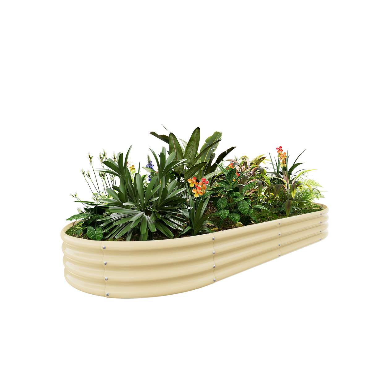 12-inch tall oval galvanized metal raised garden bed, 8 by 4 feet — view 5