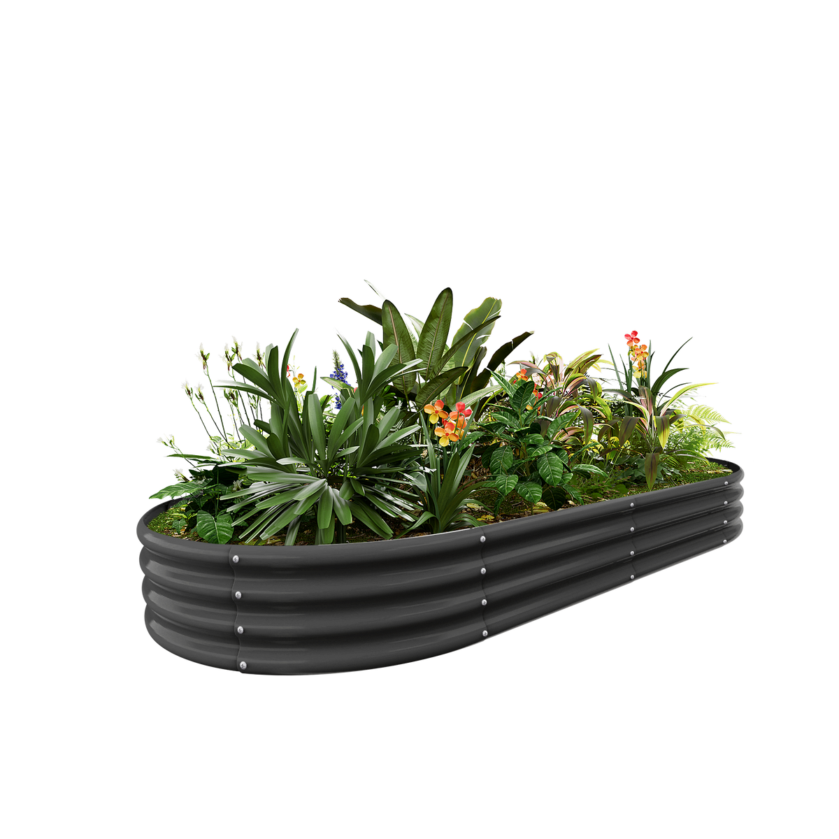 12-inch tall oval galvanized metal raised garden bed, 8 by 4 feet — view 3