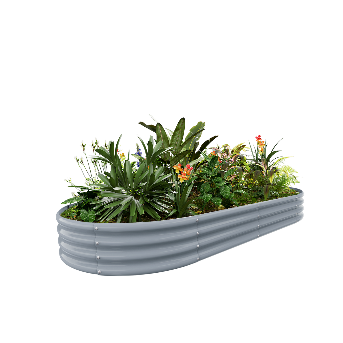 12-inch tall oval galvanized metal raised garden bed, 8 by 4 feet — view 4