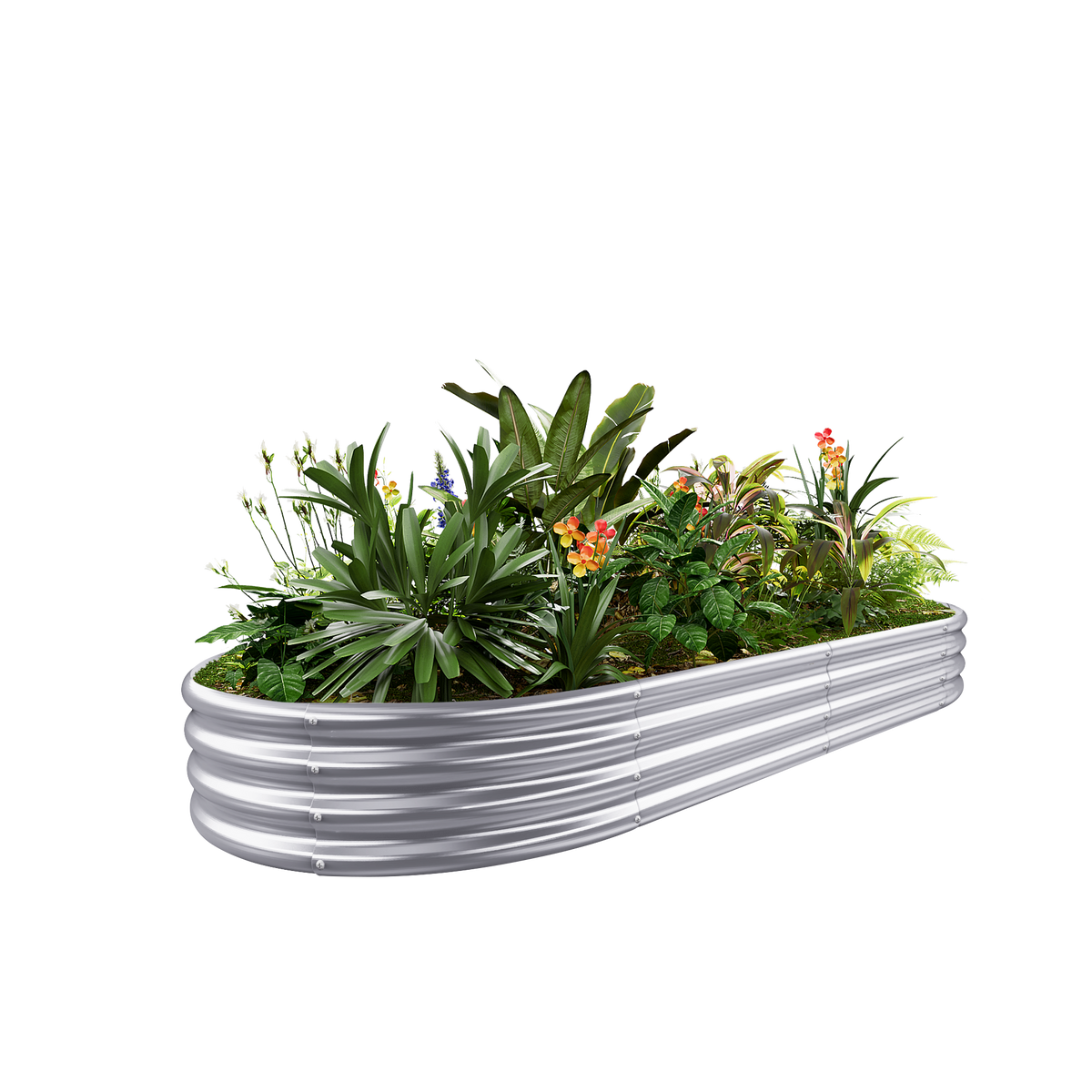 12-inch tall oval galvanized metal raised garden bed, 8 by 4 feet