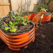 YoYoBloom 17" Tall U-Shape Standard Size Metal Raised Garden Bed| Upgrade 2.0 Knee-High Design image 14