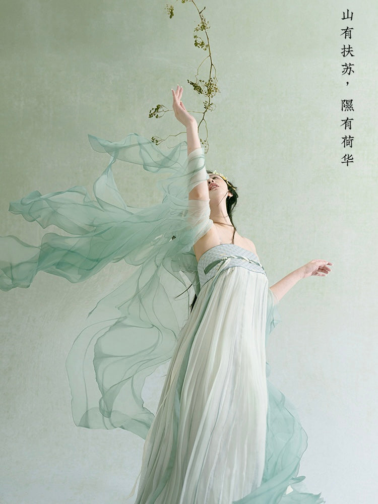 Swallow Modern Tang Style Hanfu Dress