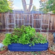 YoYoBloom Zn-Al-Mg Steel Wall Trellis for Raised Garden Beds image 8