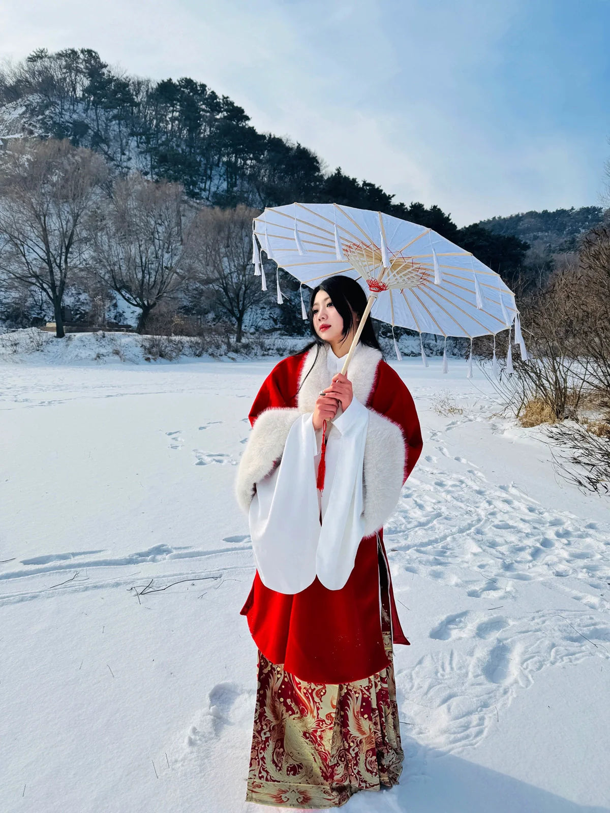 Lady Li - Ming Dynasty Hanfu Coat for Autumn and Winter