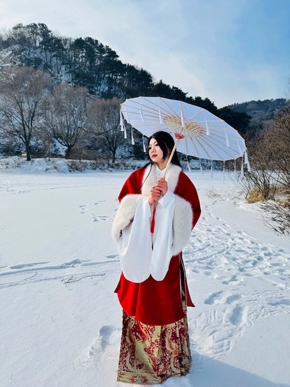 Lady Li - Ming Dynasty Hanfu Coat for Autumn and Winter