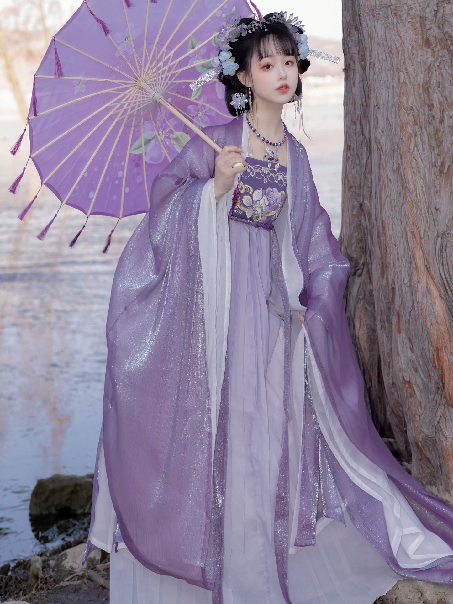Mauve 桔梗 - Tang Dynasty Style Hanfu Dress Heziqun