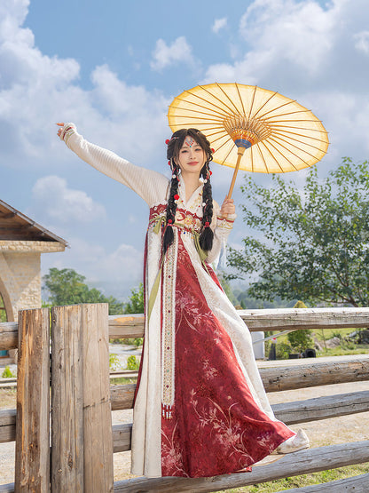 Happy Dream 盛乐长梦 - Tang Dynasty Style Qixiong Ruqun for Spring and Winter