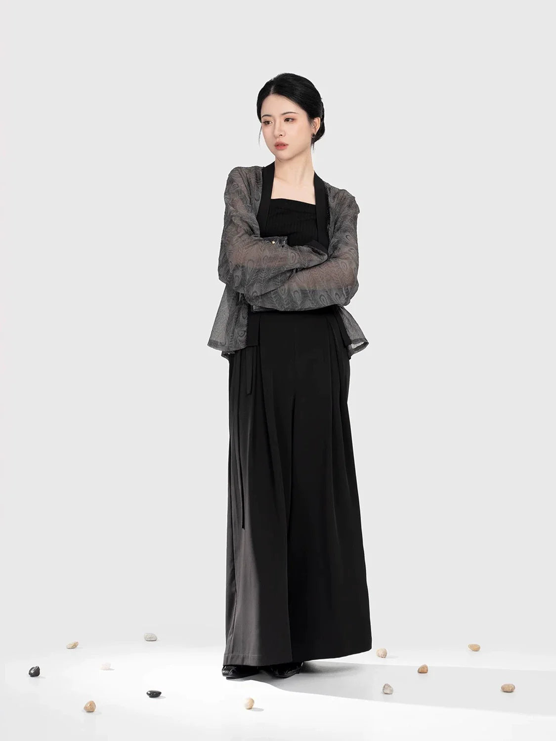 Wu Ling 乌翎 - Modern Song Dynasty Airplane Sleeves Top and Wide-leg Pants (Preorder)