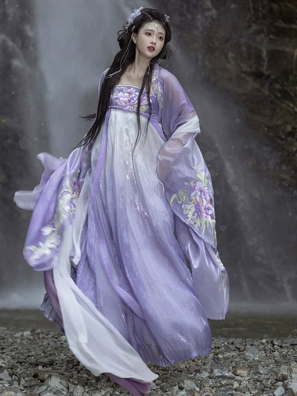 Begonia Rain 海棠未雨 - Tang Dynasty Style Hanfu Dress Heziqun