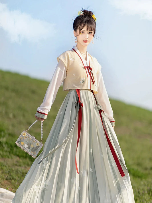Dreaming of Hometown 梦故里 - Tang Dynasty Style Beizi Qiyao Ruqun