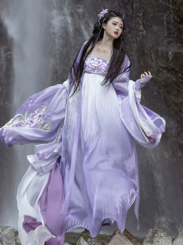 Begonia Rain 海棠未雨 - Tang Dynasty Style Hanfu Dress Heziqun