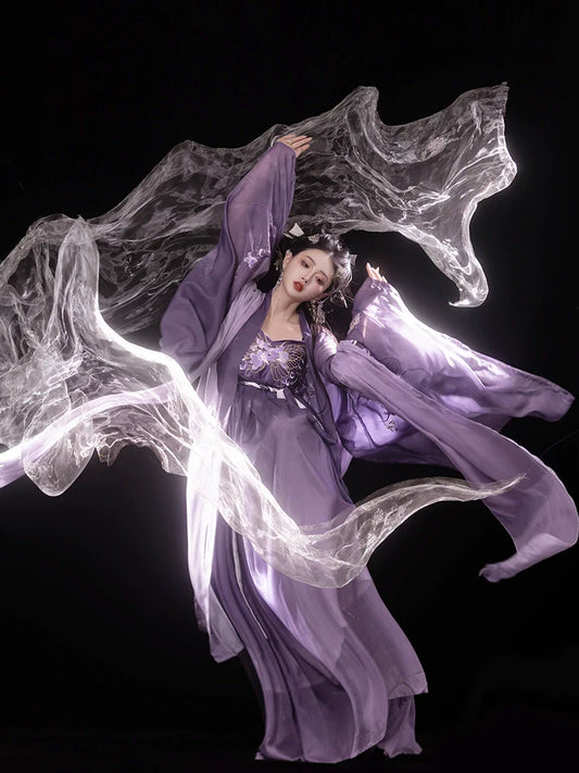 Iris Butterfly 鸢尾蝴蝶 - Tang Dynasty Style Hanfu Dress Heziqun