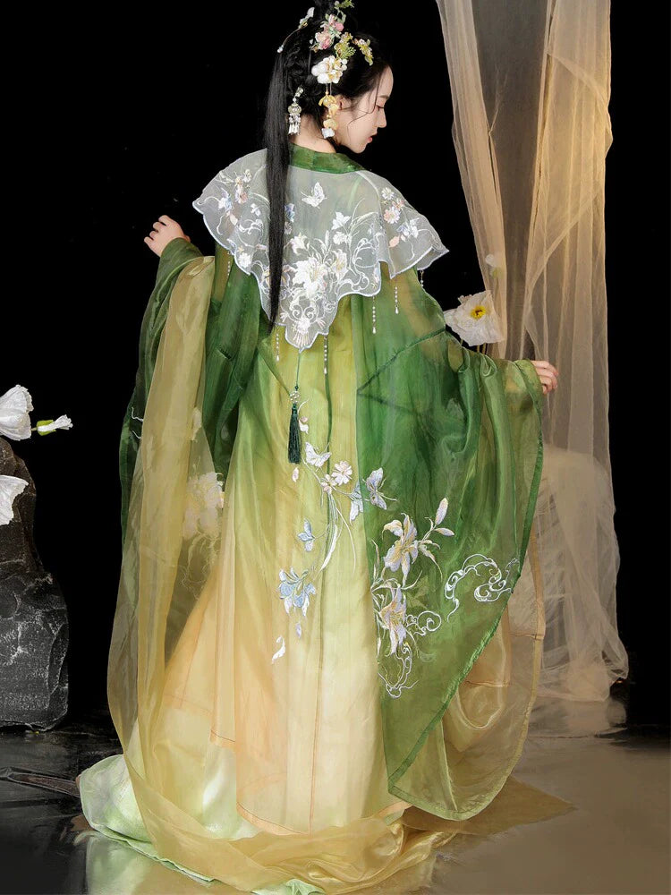 Linjiangshan 临江山 - Tang Dynasty Style Hanfu Dress Heziqun