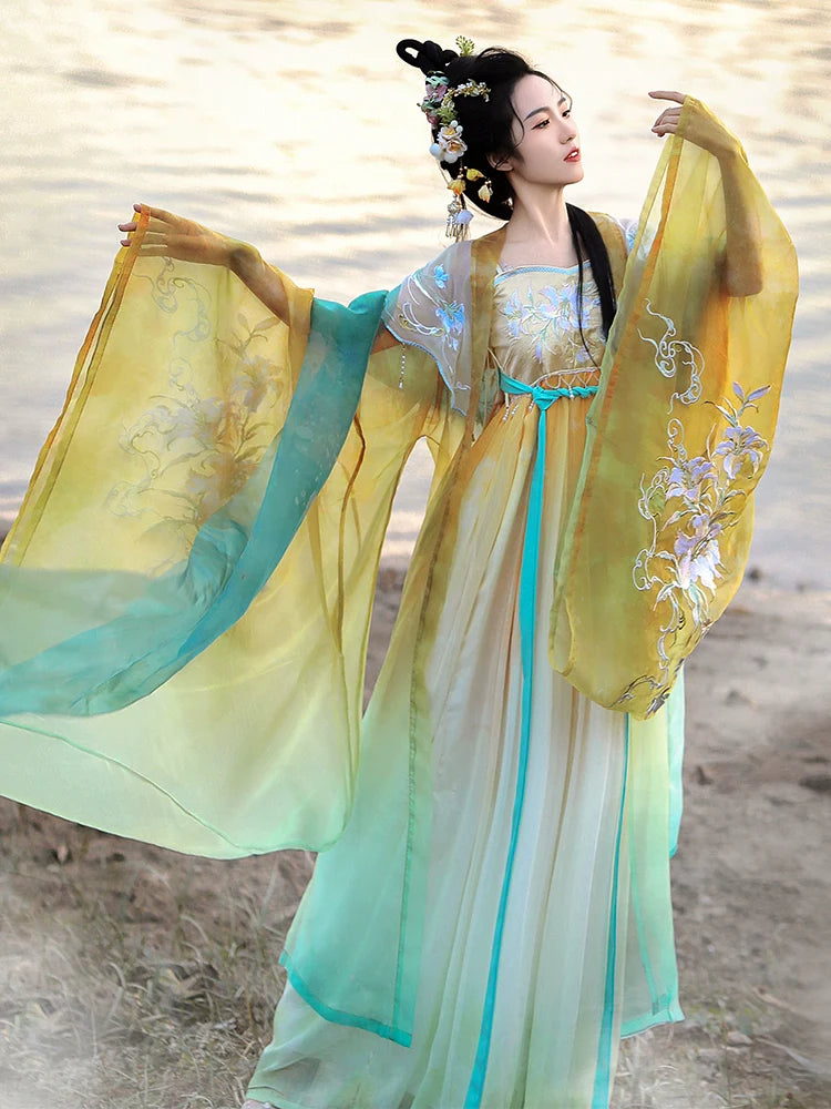 Linjiangshan 临江山 - Tang Dynasty Style Hanfu Dress Heziqun