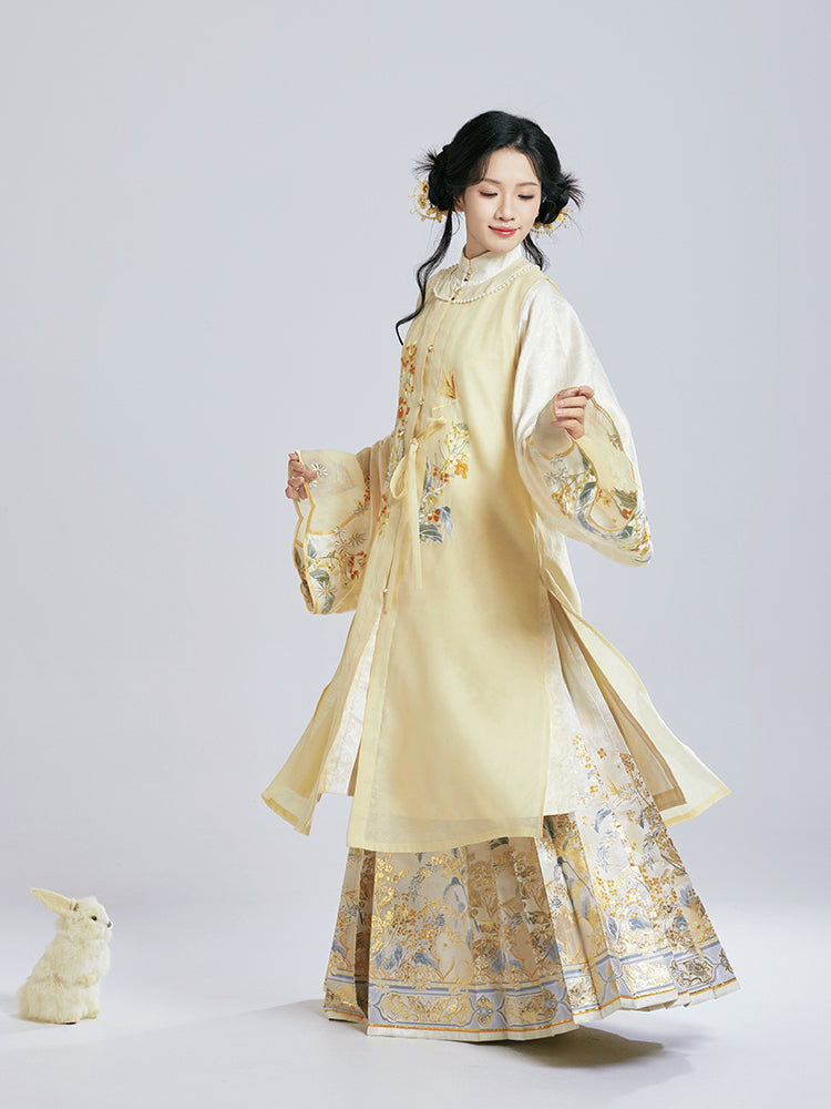 Zhiqiu 知秋 - Robe & Mamianqun Ming Dynasty Hanfu Set