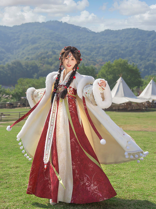 Happy Dream 盛乐长梦 - Tang Dynasty Style Qixiong Ruqun for Spring and Winter