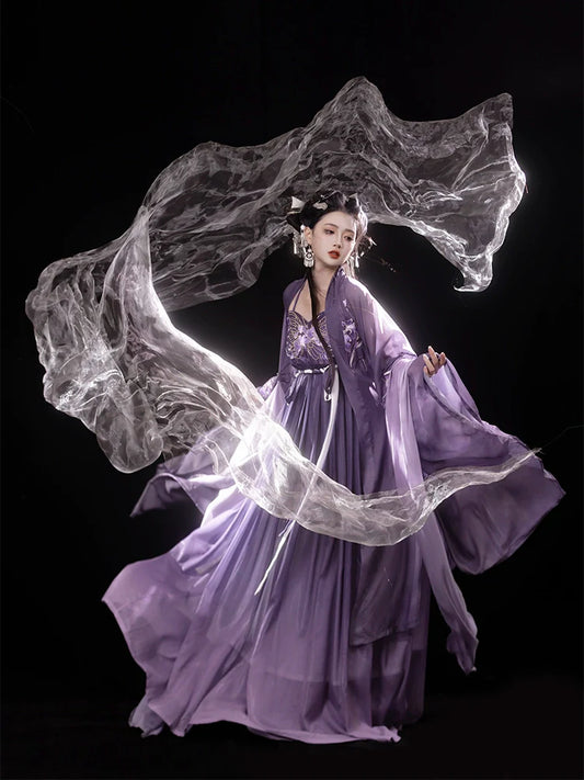 Iris Butterfly 鸢尾蝴蝶 - Tang Dynasty Style Hanfu Dress Heziqun