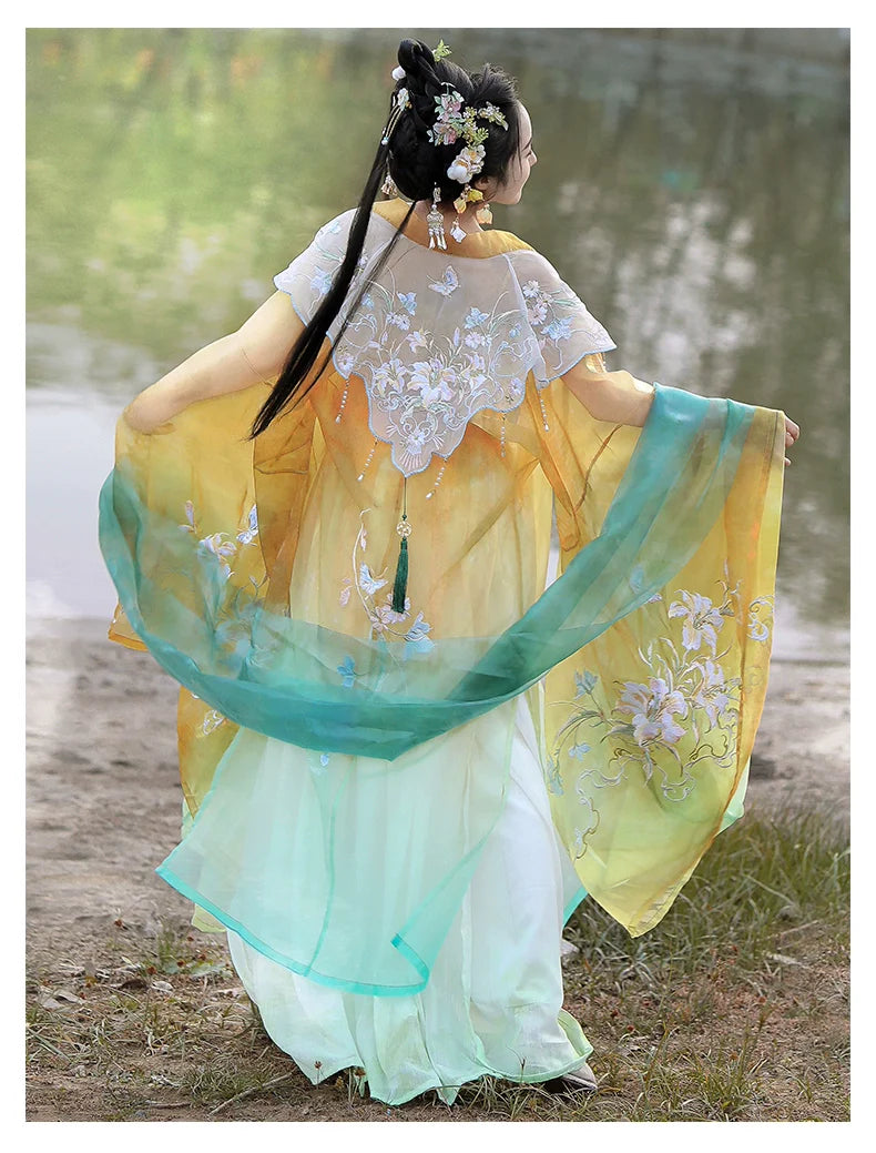 Linjiangshan 临江山 - Tang Dynasty Style Hanfu Dress Heziqun
