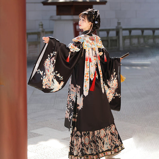 Fengxi 凤溪 - Cloud Collar & Mamianqun Ming Dynasty Hanfu Set