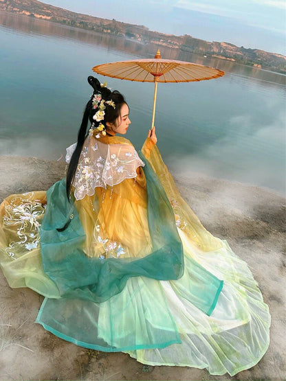 Linjiangshan 临江山 - Tang Dynasty Style Hanfu Dress Heziqun