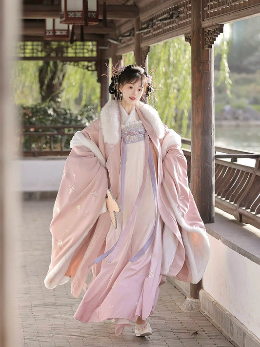 Ninglan 凝兰 - Tang Dynasty Style Qixiong Ruqun for Spring and Winter