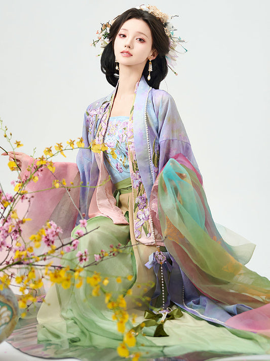 Rainbow Iris 鸢尾 - Fairy Spring and Summer Daily Song Dynasty Style Qiyao Ruqun Hanfu (Preorder)