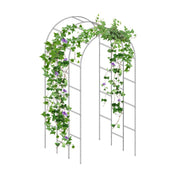 YoYoBloom Zn-Al-Mg Steel Arched Trellis for Raised Garden Beds image 29