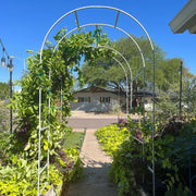 YoYoBloom Zn-Al-Mg Steel Arched Trellis for Raised Garden Beds image 20