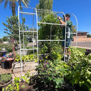 YoYoBloom Zn-Al-Mg Steel Arched Trellis for Raised Garden Beds image 19