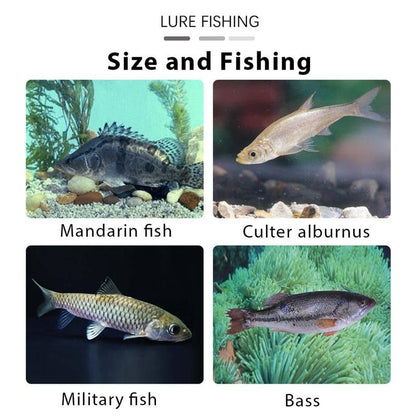 6Pcs Multiple Pre-Rigged Jig Head Soft FishingLures